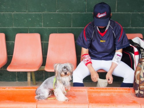 04e196a4fb827d894e68ac121b0edbee_s