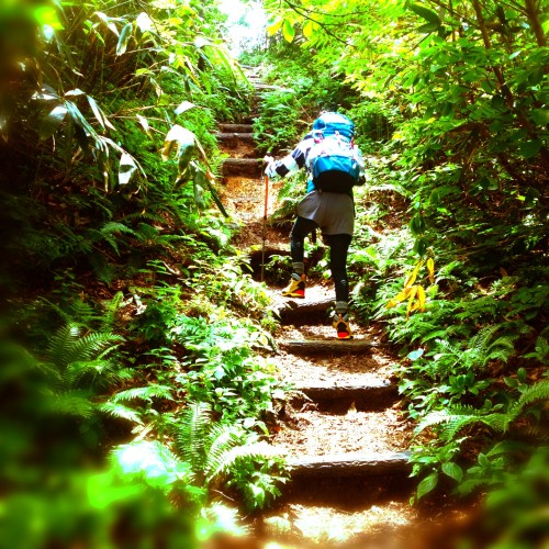 467ecc44bd971140859addfde332c340_m