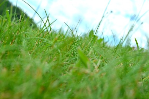 c8e37ea5e3a787280706a754d18d2b38_s