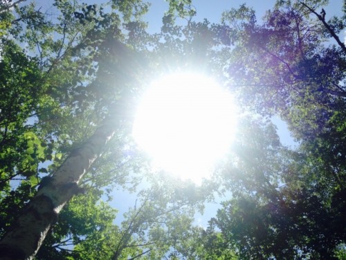 f873e1d52c39c143ba30e4faeb441805_s